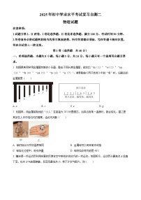 2025年山东省潍坊市诸城市中考二模物理试题 （中考模拟）