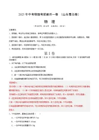 2025年中考考前押题最后一卷:物理(山东青岛卷)(解析版)