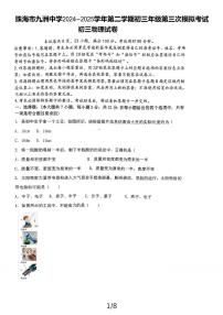 广东省珠海市九洲中学2024-2025学年下学期九年级第三次模拟考试物理试卷（中考模拟）
