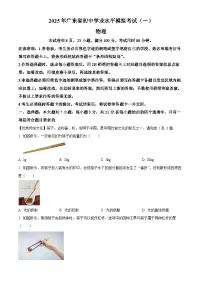 2025年广东省阳江市阳西县中考一模物理试题（中考模拟）