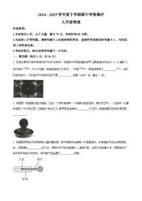 河南省驻马店市平舆县2024-2025学年九年级下学期期中学情测评物理试卷