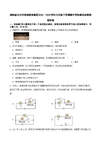 湖南省长沙市周南教育集团2024 -2025学年九年级下学期期中学科素质诊断物理试卷