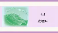初中物理苏科版（2024）八年级上册（2024）水循环课文课件ppt