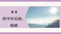初中物理教科版（2024）八年级上册（2024）跨学科实践：眼睛备课课件ppt