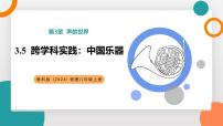 教科版（2024）八年级上册（2024）跨学科实践：中国乐器教学ppt课件