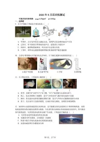 2025年湖北省武汉武昌区中考模拟物理试题（二）（中考模拟）