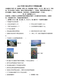 2025年四川省自贡市中考物理试题含答案