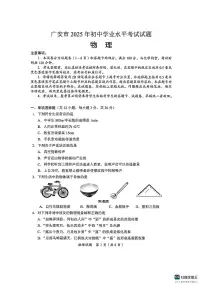 2025年四川省广安市中考物理试题含答案