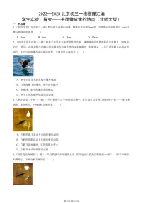 2023—2025北京初三一模[中考模拟]物理汇编：学生实验：探究——平面镜成像的特点（北师大版）
