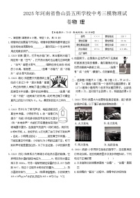 2025年河南省平顶山市鲁山县五所学校中考三模物理试题（中考模拟）