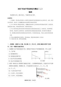 广东省广州市广大附中2024-2025学年中考三模物理试题