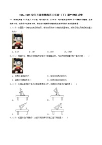 天津市静海区2024-2025学年八年级下学期期中物理试卷