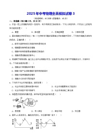 2025年中考物理全真模拟试卷3（含答案解析）