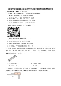 四川省广安市武胜县2024-2025学年八年级下学期期末 物理模拟练习卷