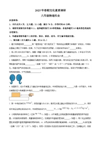 河南省南阳市西峡县2024-2025学年八年级下学期期中考试物理试题