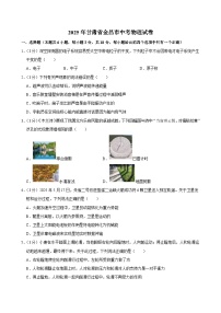 2025年甘肃省金昌市中考物理试卷及答案