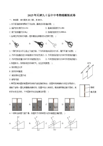 2025年天津九十五中中考物理模拟试卷