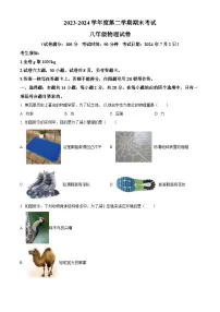 福建省厦门市湖滨中学2023-2024学年八年级下学期期末考试物理试题（含答案）