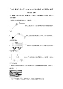 广东省深圳市宝安区2024-2025学年八年级下学期期末考试练习卷物理试卷