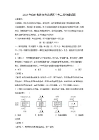 2025年山东省济南市高新区中考二模物理试卷（解析版）