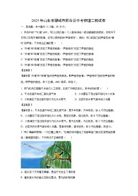 2025年山东省聊城市阳谷县中考二模物理试卷（解析版）