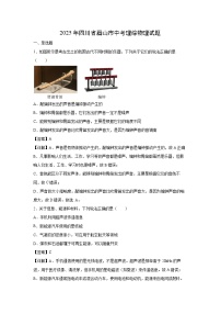 2025年四川省眉山市中考(解析版)物理试卷