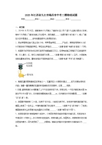 2025年江西省九江市瑞昌市中考三模物理试题（附答案解析）