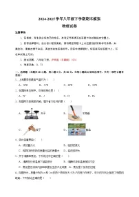 2024-2025学年八年级下学期物理期末模拟试卷（含答案）（沪科版（五四制）2024）