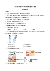 2024-2025学年八年级下学期物理期末模拟试卷（含答案）（鲁科五四学制2024）