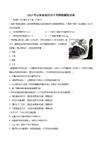 山东省滨州市2025年中考 物理模拟试卷+