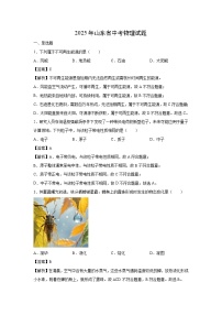 2025年山东省中考物理试卷(解析版)