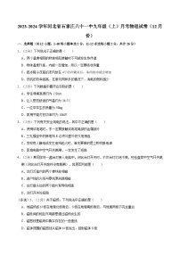 河北省石家庄八十一中2023-2024学年九年级上学期月考物理试卷（12月份）