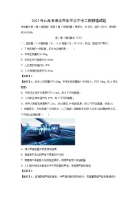 2025年山东省泰安市东平县中考二模物理试卷（解析版）