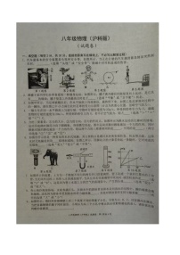 【8物（HK）期中】合肥市新站区2024-2025学年八年级下学期期中考试物理试卷