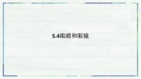人教版（2024）八年级上册（2024）眼睛和眼镜背景图课件ppt