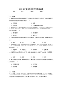 2025年广东省深圳市中考物理试题（附答案解析）