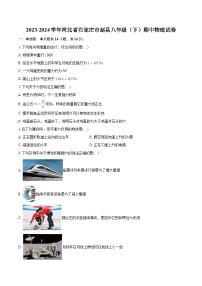 河北省石家庄市赵县2023-2024学年八年级下学期期中物理试卷