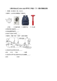 上海市金山区2024-2025学年八年级（下）期末物理试卷