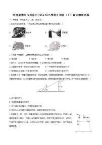 江苏省泰州市兴化市2024-2025学年九年级（上）期末物理试卷
