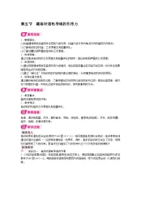 北师大版(2024)九年级全册(2024)第五节 磁场对通电导线的作用力教案
