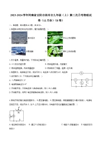 河南省安阳市林州市2023-2024学年九年级（上）第三次月考物理试卷（12月份）（B卷）
