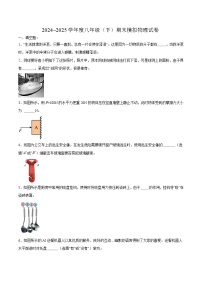 【8物（HK）期末模拟】合肥市第四十五中学芙蓉分校2024~2025学年八年级下学期期末模拟物理试卷