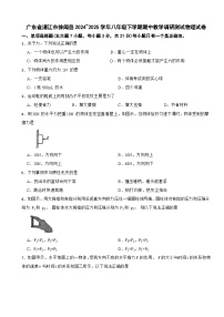 广东省湛江市徐闻县2024~2025学年八年级下学期期中教学调研测试物理试卷
