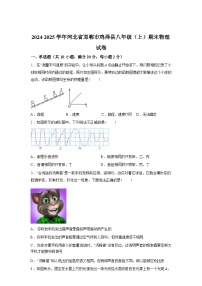 河北省邯郸市鸡泽县2024_2025学年八年级上册期末考试物理试卷[有解析]