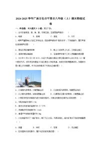 广西百色市平果市2024_2025学年八年级上册期末物理试卷[有解析]