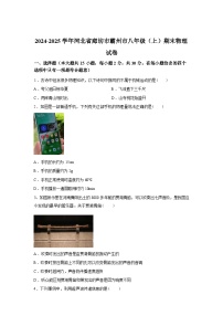 河北省廊坊市霸州市2024_2025学年八年级上册期末物理试卷[有解析]