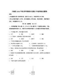 广西河池市天峨县2024_2025学年八年级上册期末检测物理试卷[有解析]