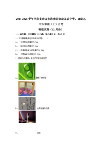 河北省唐山市路南区唐山友谊中学、第九中学2024_2025学年八年级上册12月月考物理试卷[有解析]