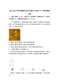 河南省许昌市长葛市2024_2025学年八年级上册期末考试物理试卷[有解析]