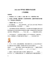 河南省周口市沈丘县2024_2025学年八年级上册期末物理试卷[有解析]